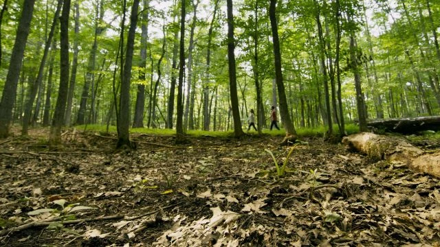 Wild Garden -الحديقة البرية - الطبيعة التي تحيط بن ا