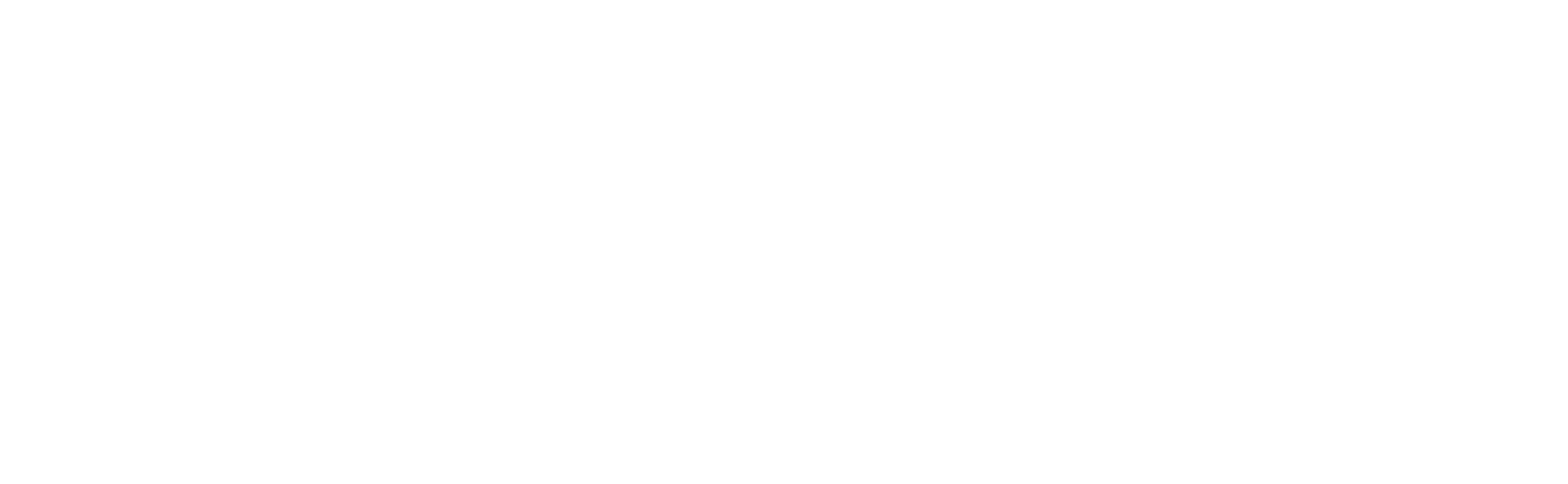 Snitch - linfiltrato