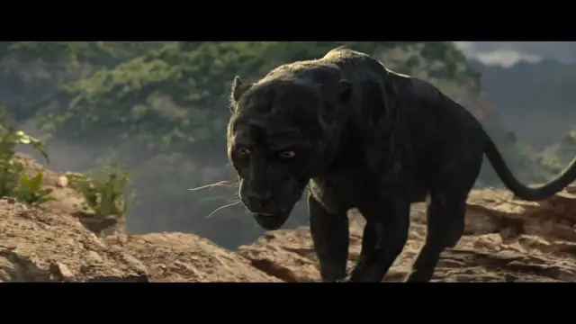 Mowgli Il figlio della giungla - ماوكلي مدبلج للعربية