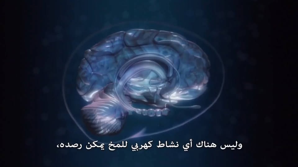العباقرة يؤمنون بالإسلام والجهال يلحدون ويكثرون الكلام .. التسجيل المفقود منذ 33 عامًا لإسلام العالم آر...