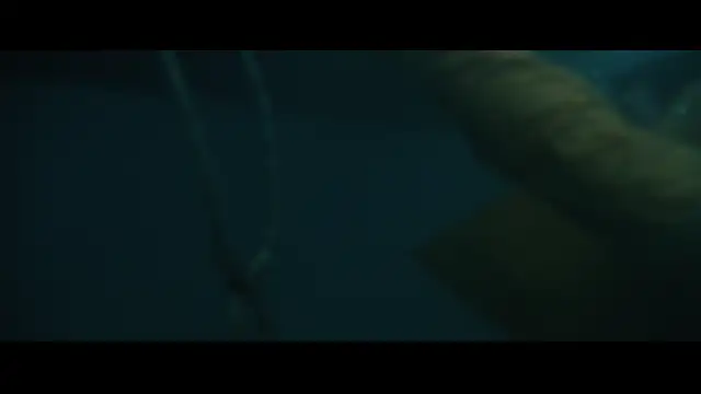 My Penguin Friend - 6.8⭐IMDb - صديقي البطريق قصة حقيقية