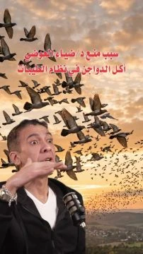 ضياء العوضي | الفرخة خنزير الطيور من اغرب تصريحاته في خطوات بودكاست